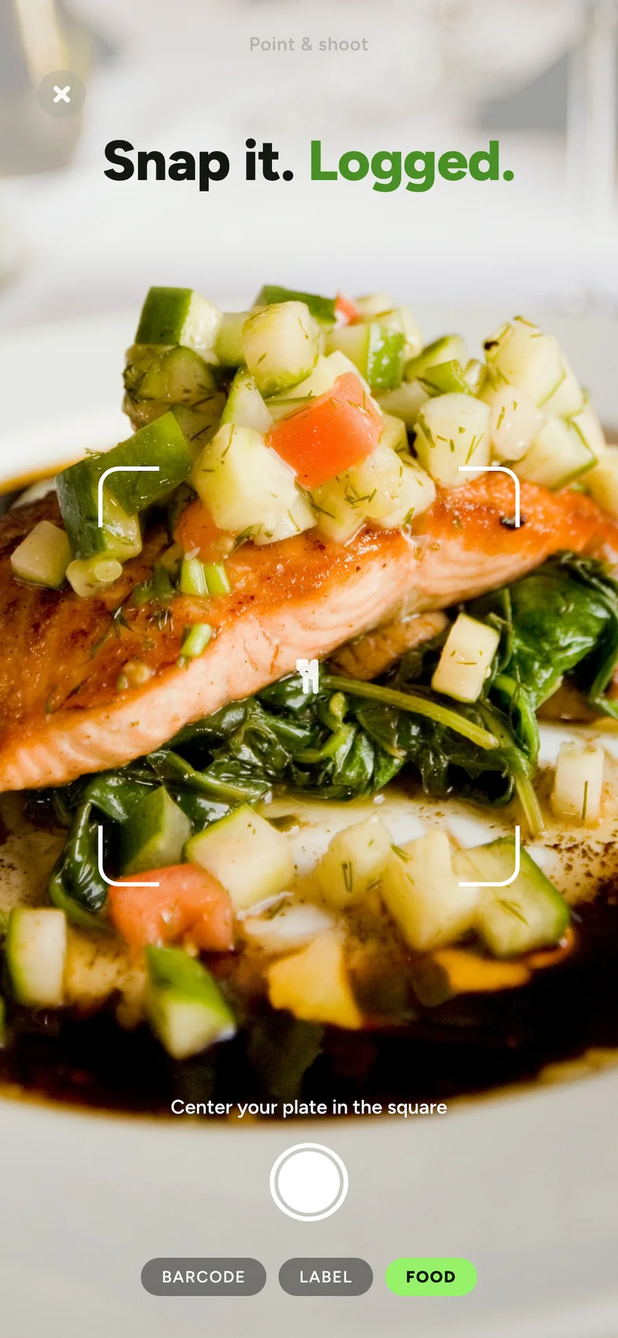 Snap it, logged: the Vitalume food camera pointed at a salmon plate
